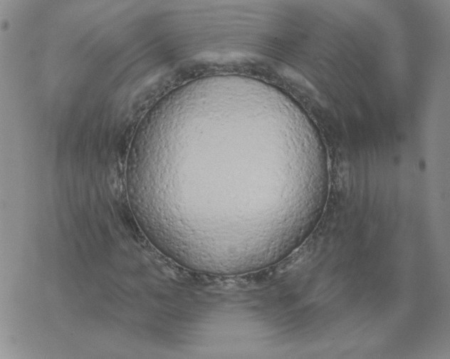 X0000074300966200609151938