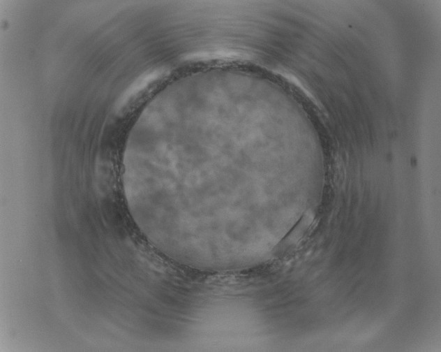 X0000074300967200609151938