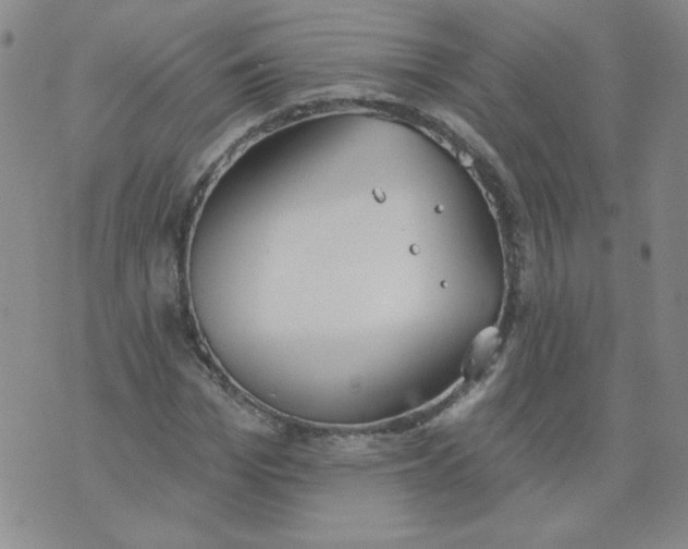 X0000074300969200609151938