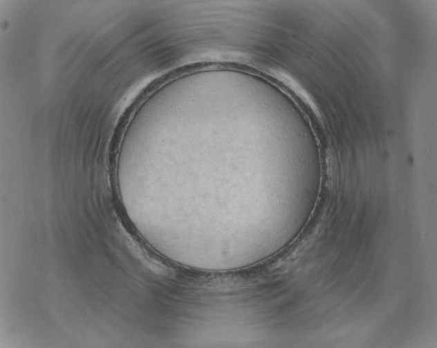 X0000074300972200609151938