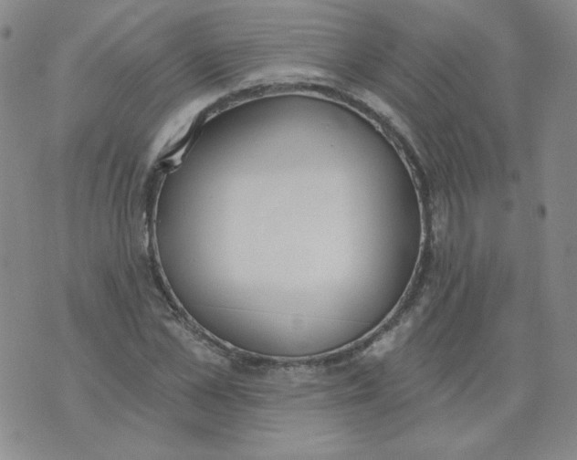 X0000074300973200609151938