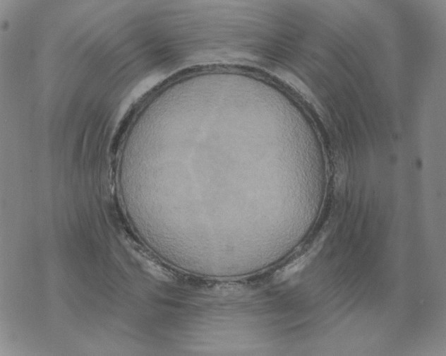 X0000074300974200609151938