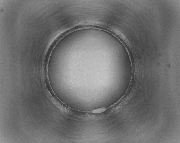 X0000074300976200609151938