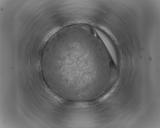 X0000074300977200609151937