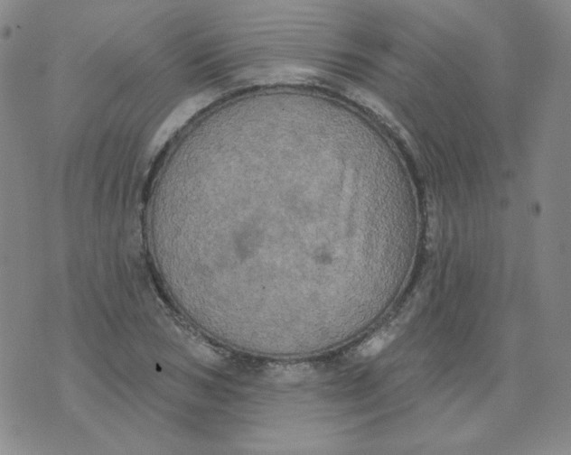 X0000074300978200609151937