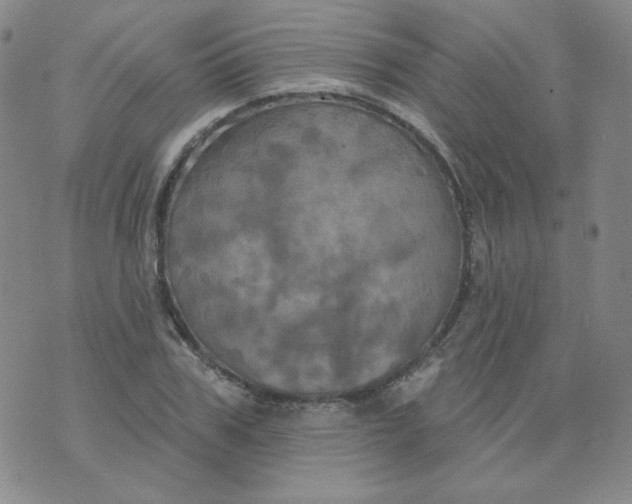 X0000074300979200609151937