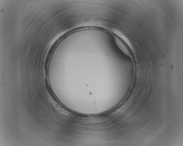 X0000074300980200609151937