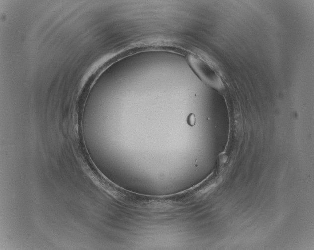 X0000074300981200609151937