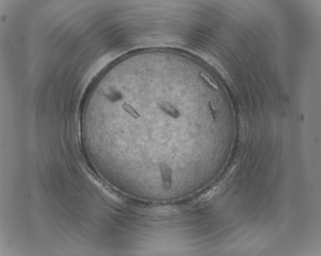 X0000074300982200609151937