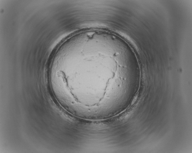 X0000074300983200609151937