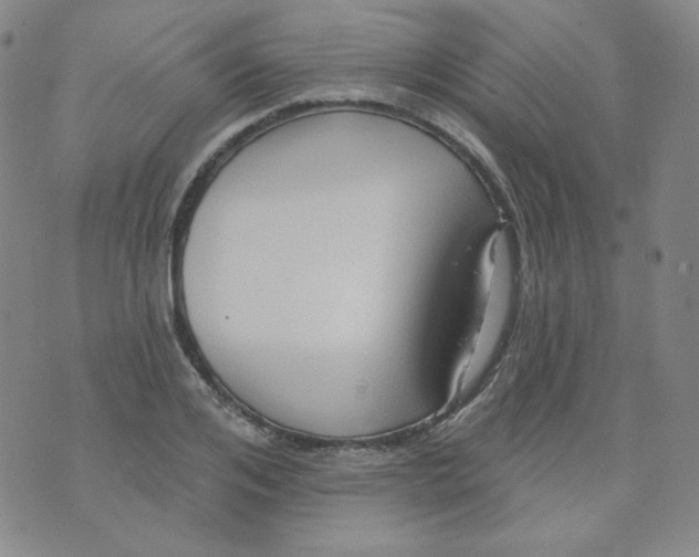 X0000074300984200609151937