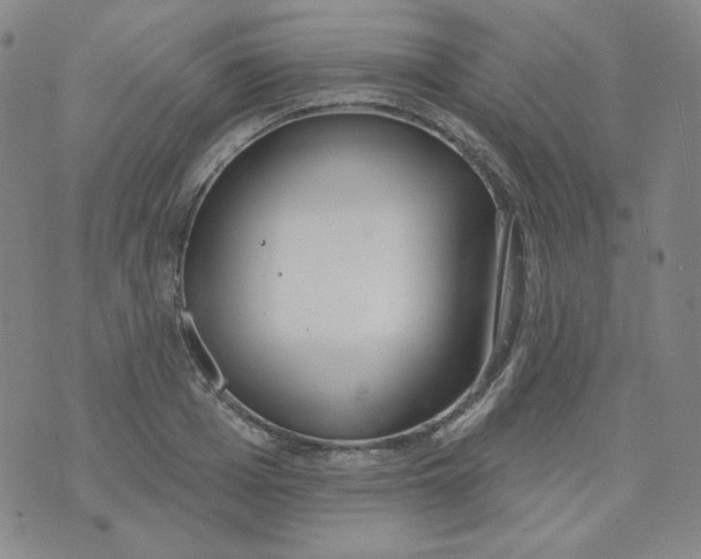 X0000074300985200609151937