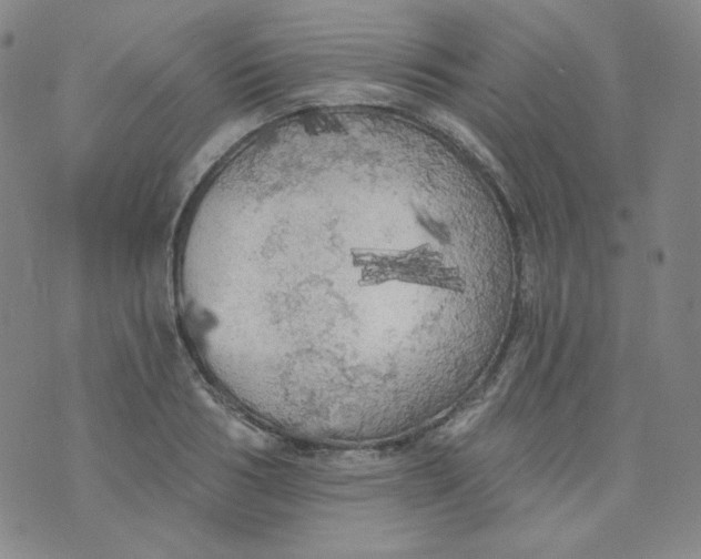 X0000074300986200609151937