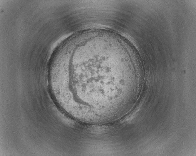 X0000074300987200609151937