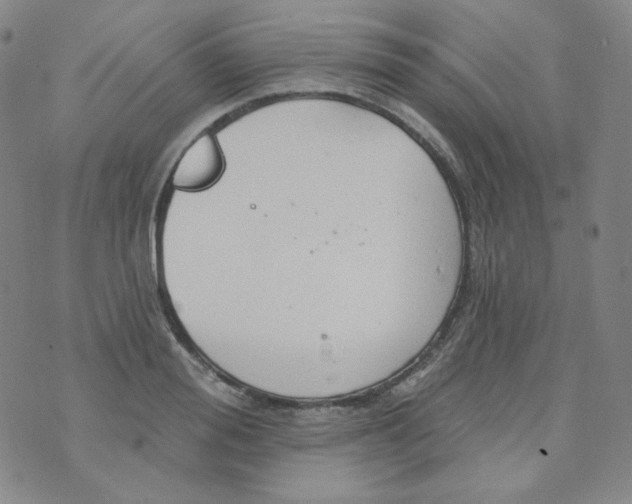 X0000074300988200609151937