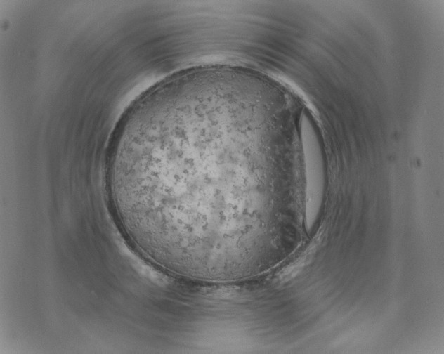 X0000074300991200609151937