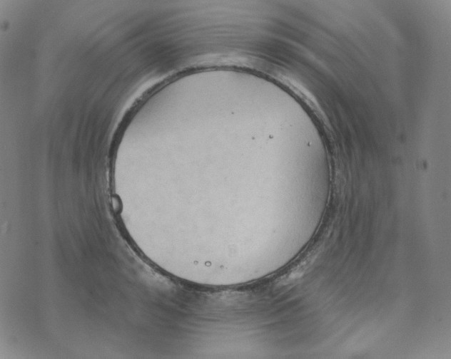 X0000074300992200609151937