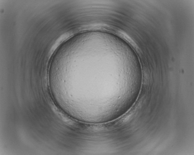 X0000074300994200609151937