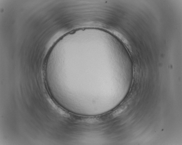 X0000074300998200609151937