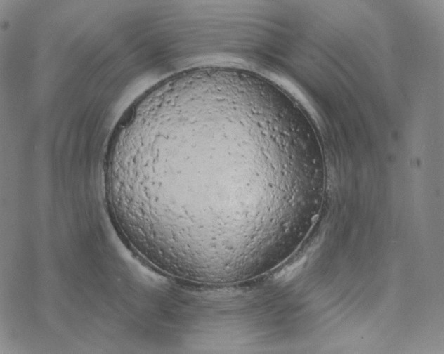 X0000074300999200609151937