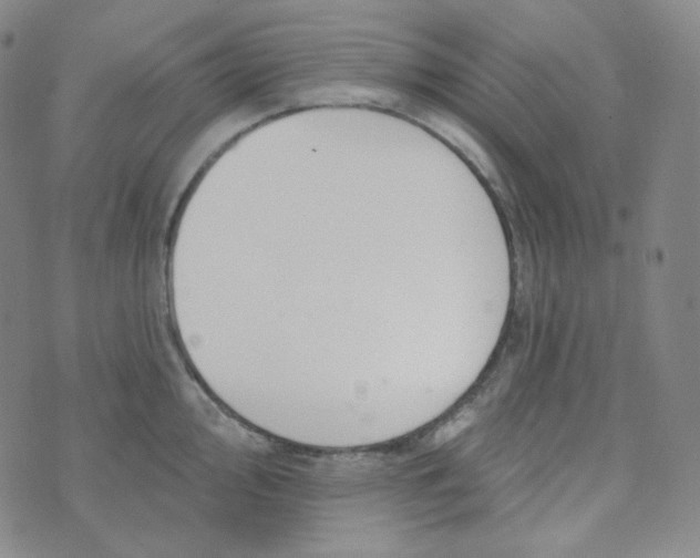 X0000074301000200609151937