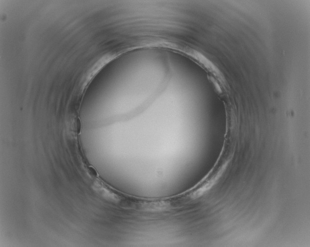 X0000074301001200609151937