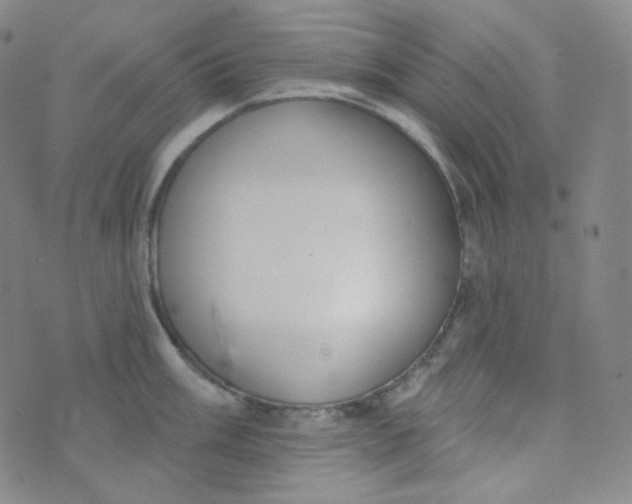 X0000074301003200609151937