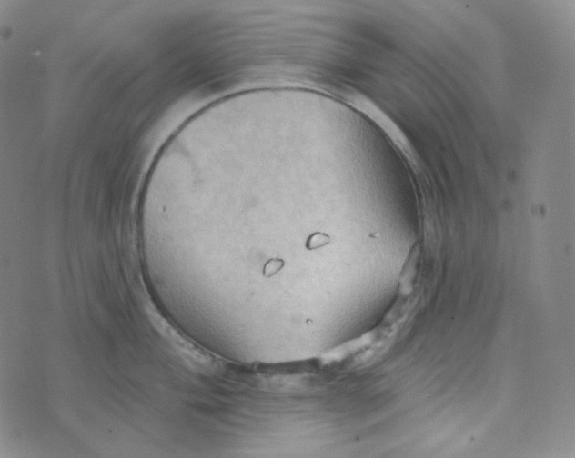 X0000074301004200609151937