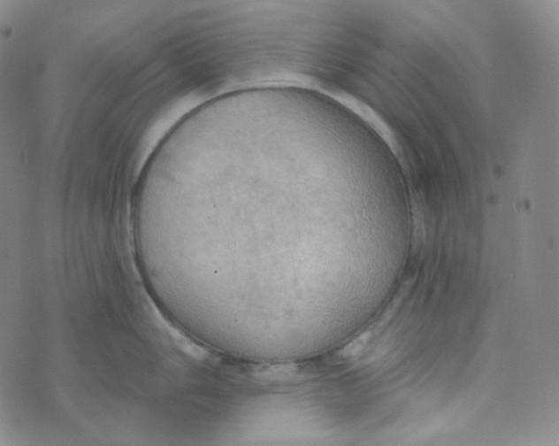 X0000074301006200609151937