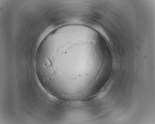 X0000074301007200609151937