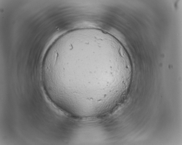 X0000074301008200609151937