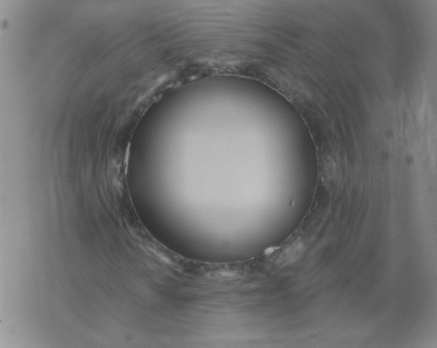 X0000074301010200609151936