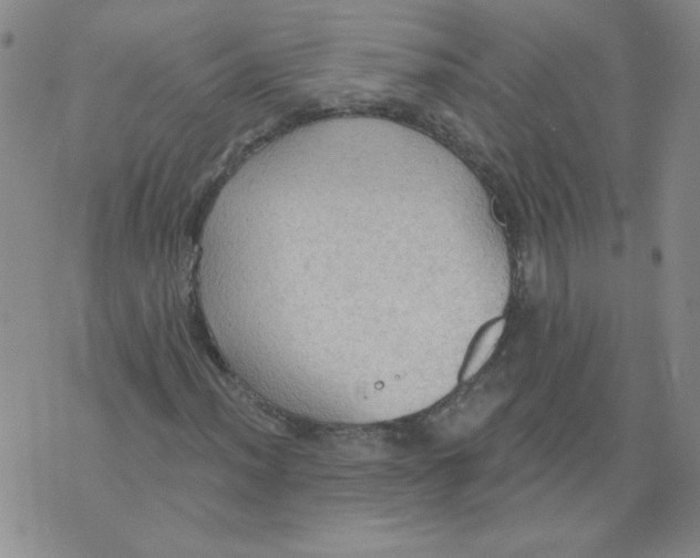 X0000074301012200609151936