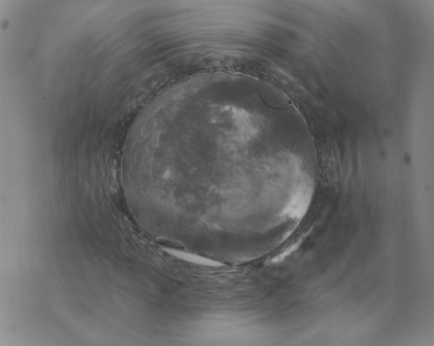 X0000074301013200609151936