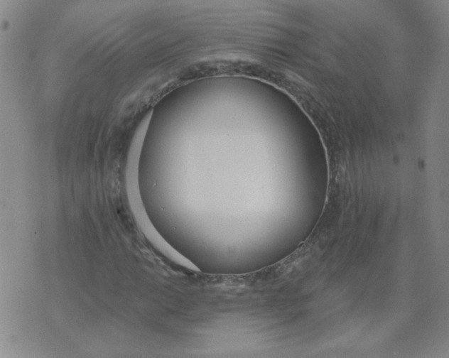 X0000074301014200609151936