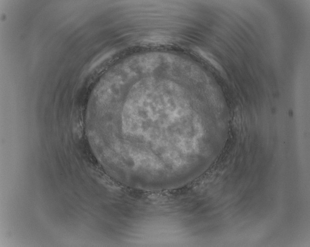 X0000074301015200609151936