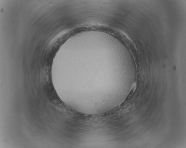 X0000074301016200609151936