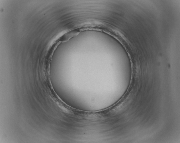 X0000074301018200609151936