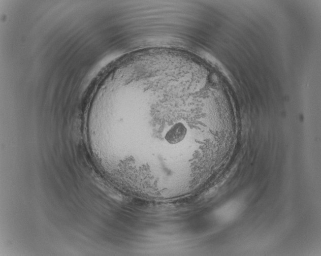 X0000074301019200609151936