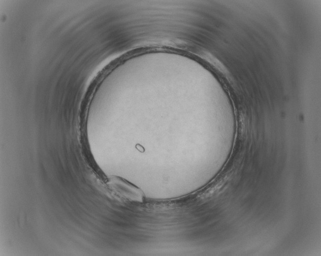 X0000074301020200609151936