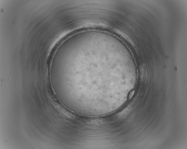 X0000074301021200609151936