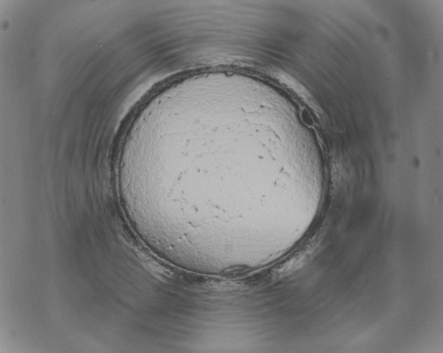 X0000074301023200609151936