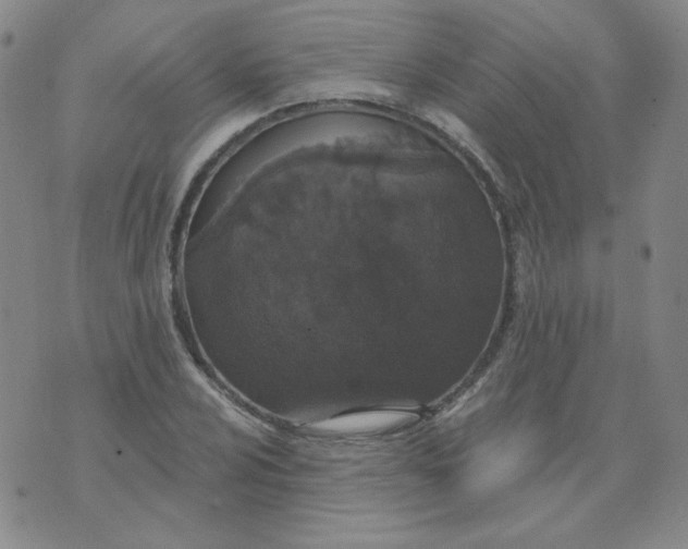 X0000074301024200609151936