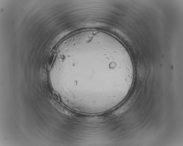 X0000074301025200609151936