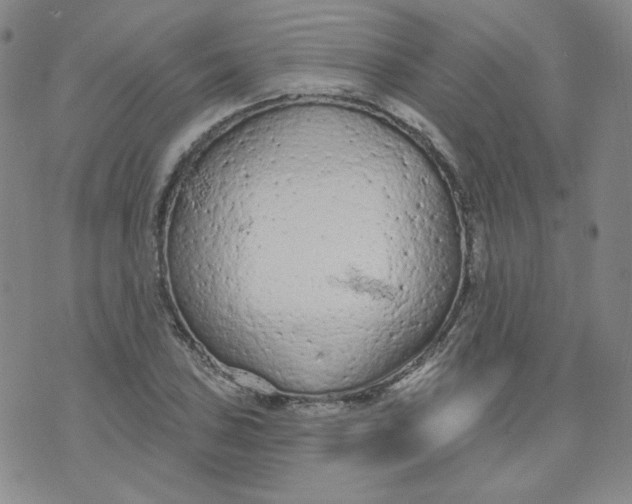 X0000074301027200609151936