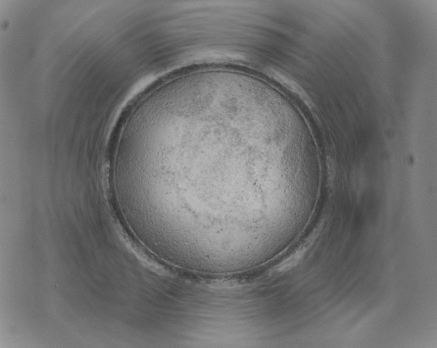 X0000074301029200609151937