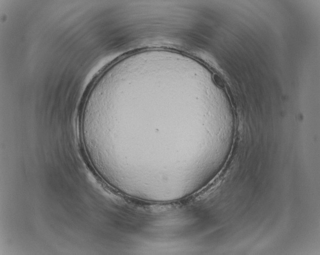 X0000074301032200609151937