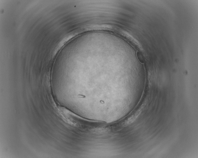 X0000074301033200609151937