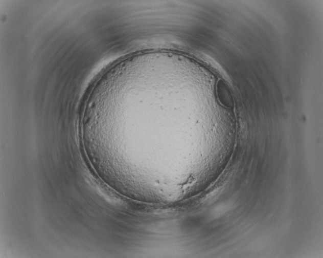 X0000074301035200609151937