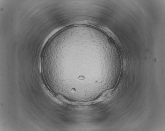 X0000074301036200609151937